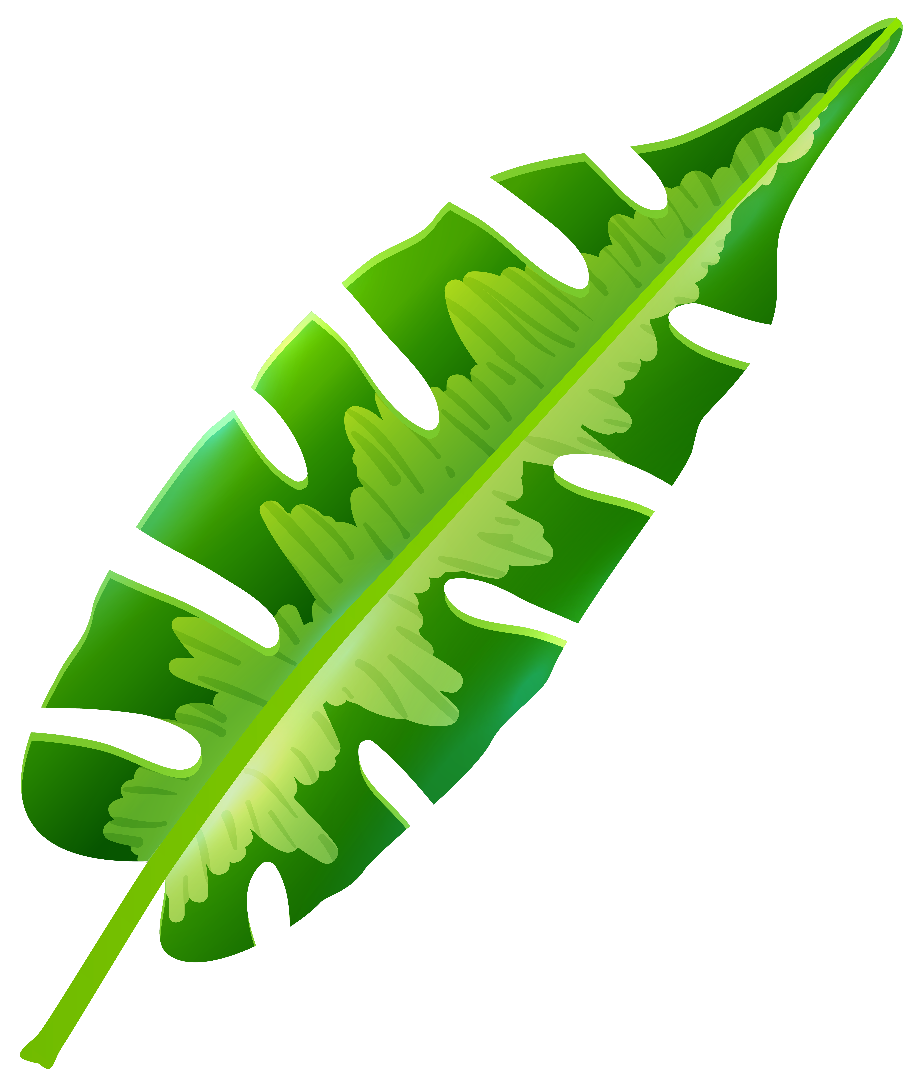 Download High Quality leaf clipart tropical Transparent PNG Images