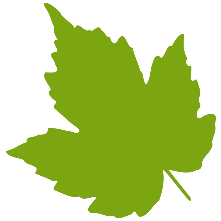 fall leaves clipart green