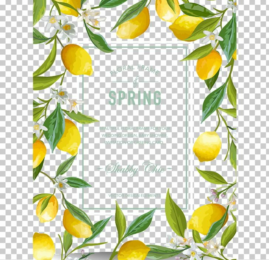 Download High Quality lemon clipart border Transparent PNG Images Art