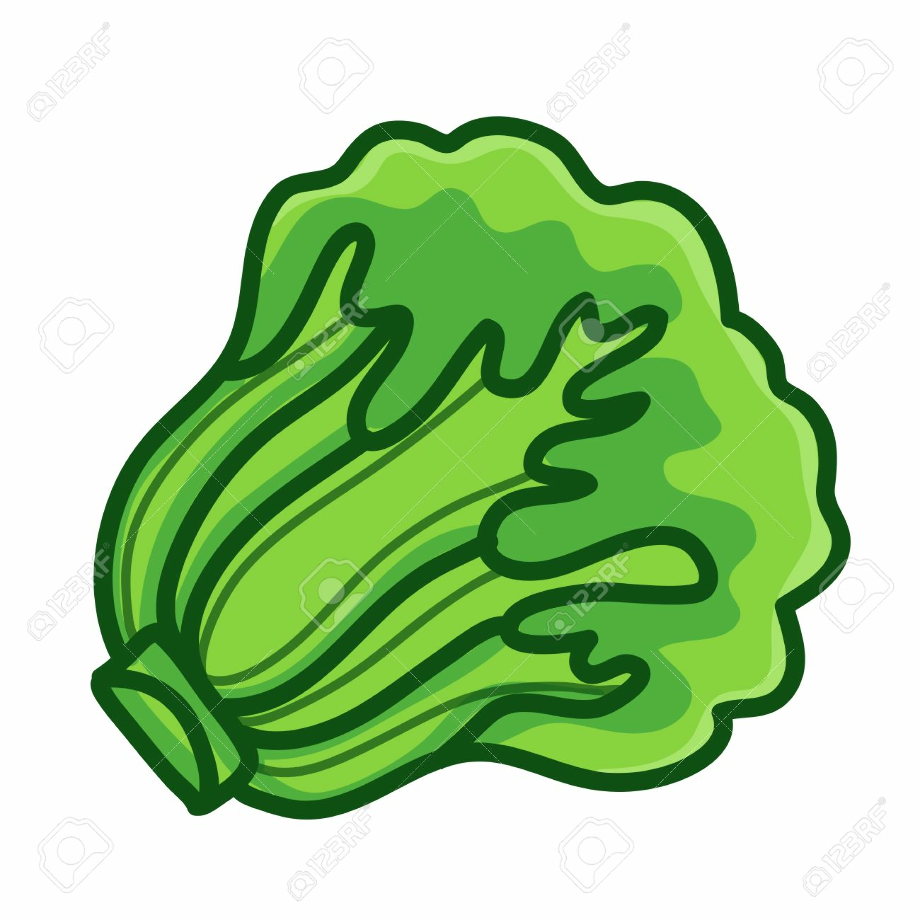 Download High Quality lettuce clipart lechuga Transparent PNG Images ...