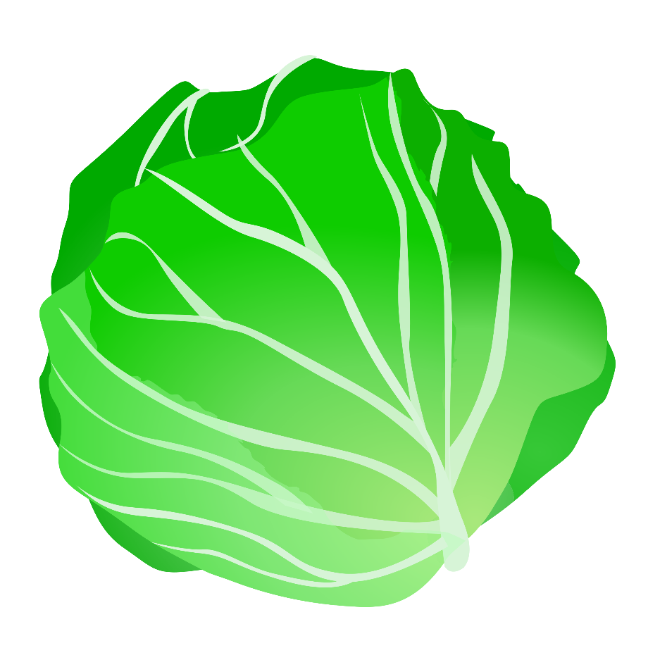 lettuce clipart iceberg