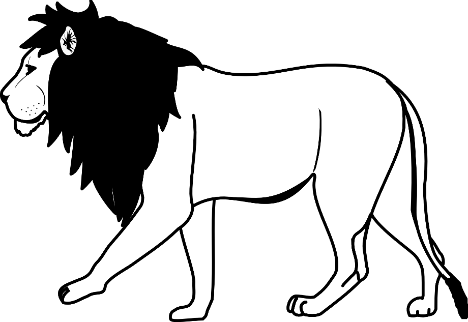 lion clipart black and white male