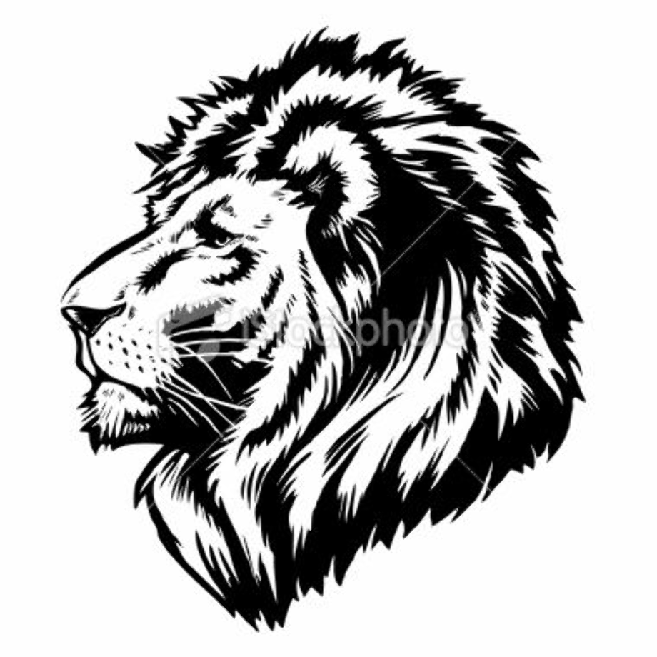 lion clipart black and white realistic