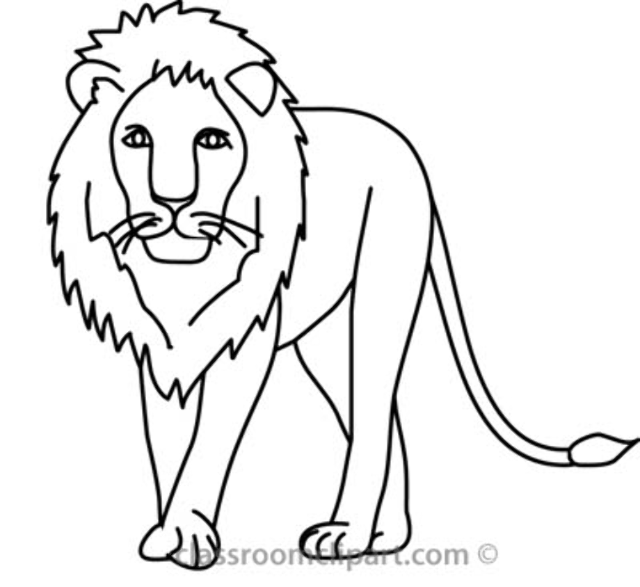 lion clipart black and white outline
