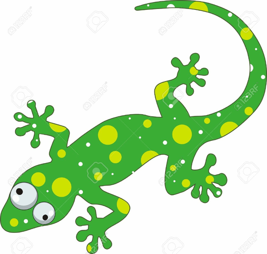 lizard clipart gecko