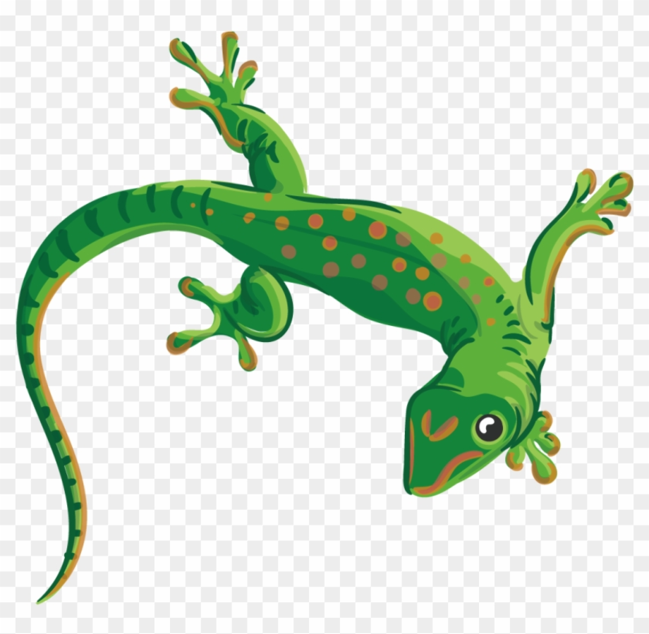 Download High Quality lizard clipart gecko Transparent PNG Images - Art