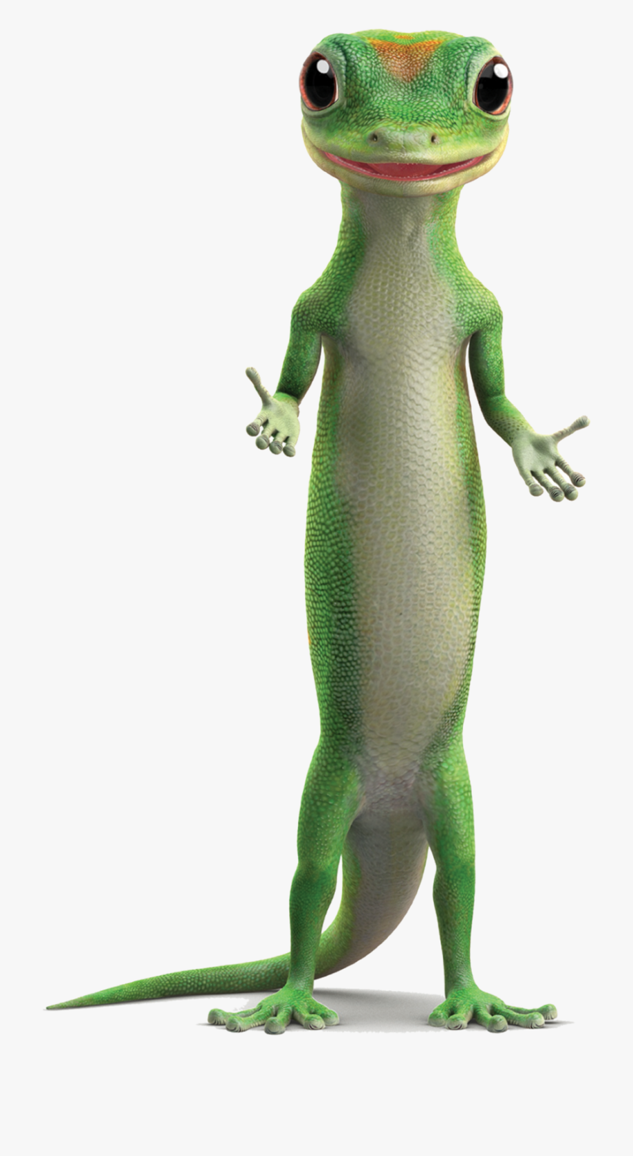 Download High Quality lizard clipart gecko Transparent PNG Images - Art
