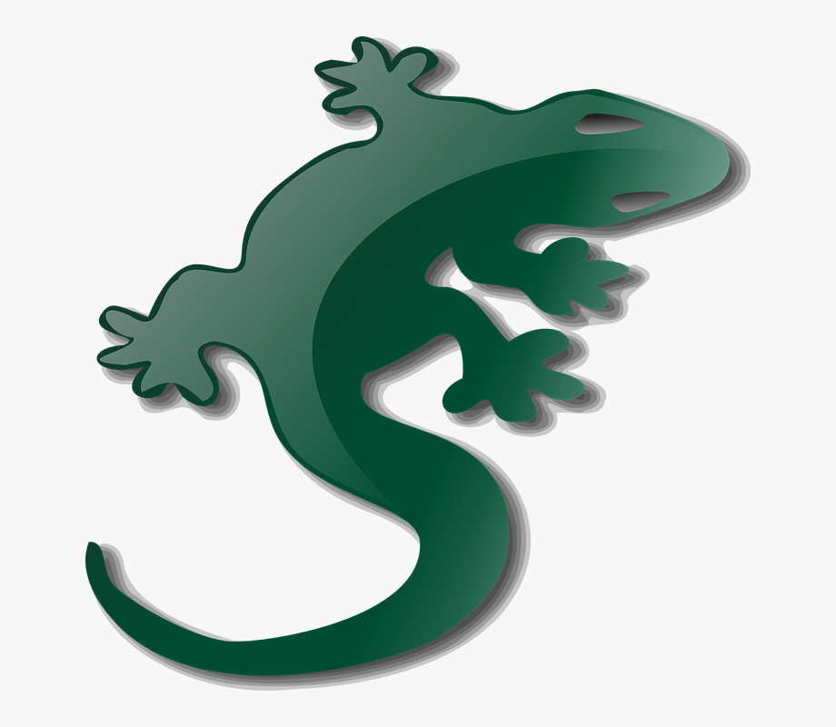 lizard clipart salamander