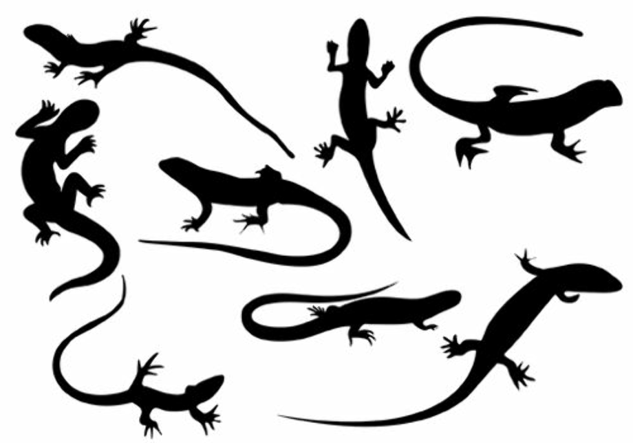 lizard clipart silhouette