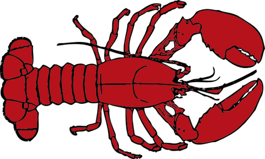 lobster clipart outline