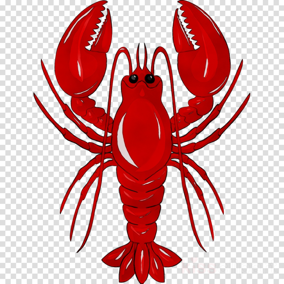 Download Download High Quality lobster clipart transparent ...