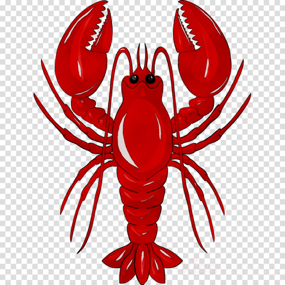 Lobster Cartoon Png