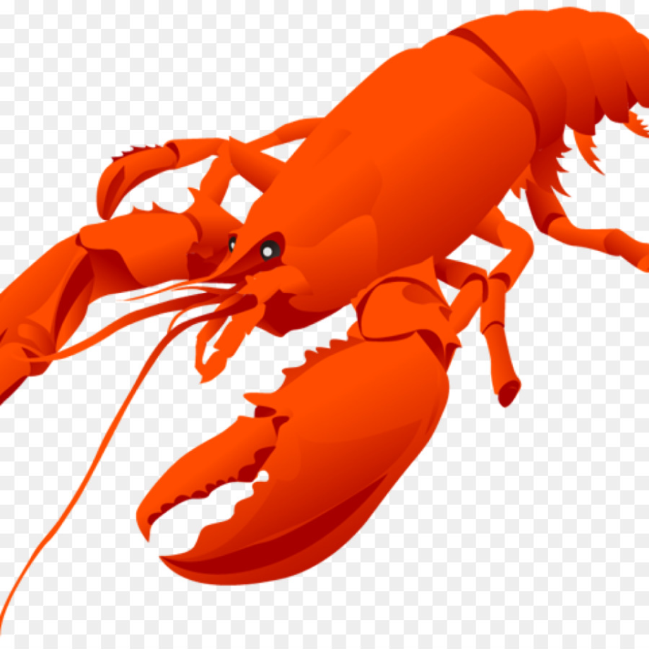 lobster clipart shellfish