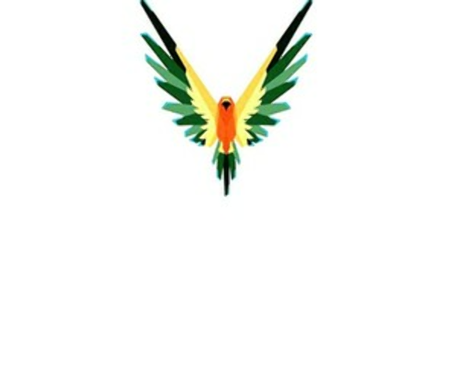 Download High Quality Logan Paul Logo Maverick Bird Transparent PNG.