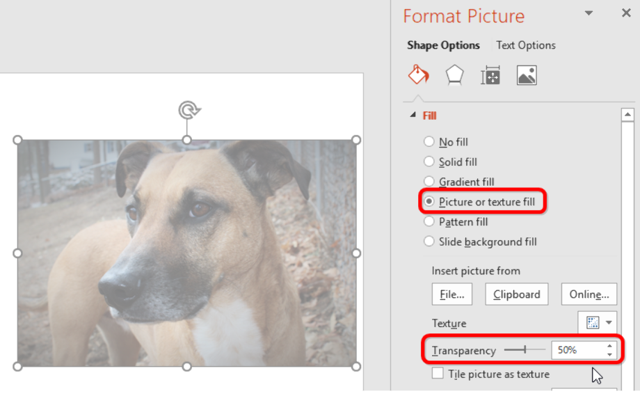 how to make image transparent powerpoint