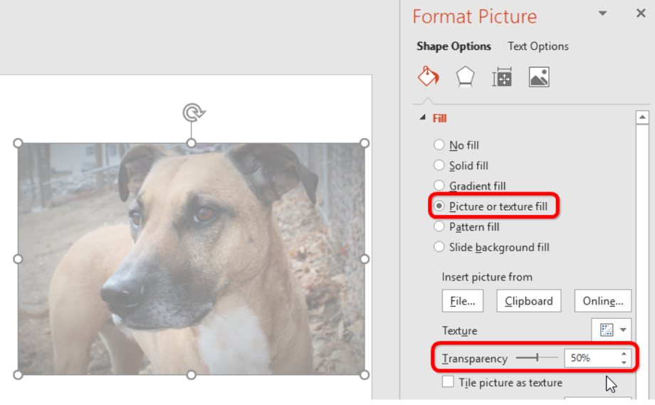 make picture transparent microsoft word