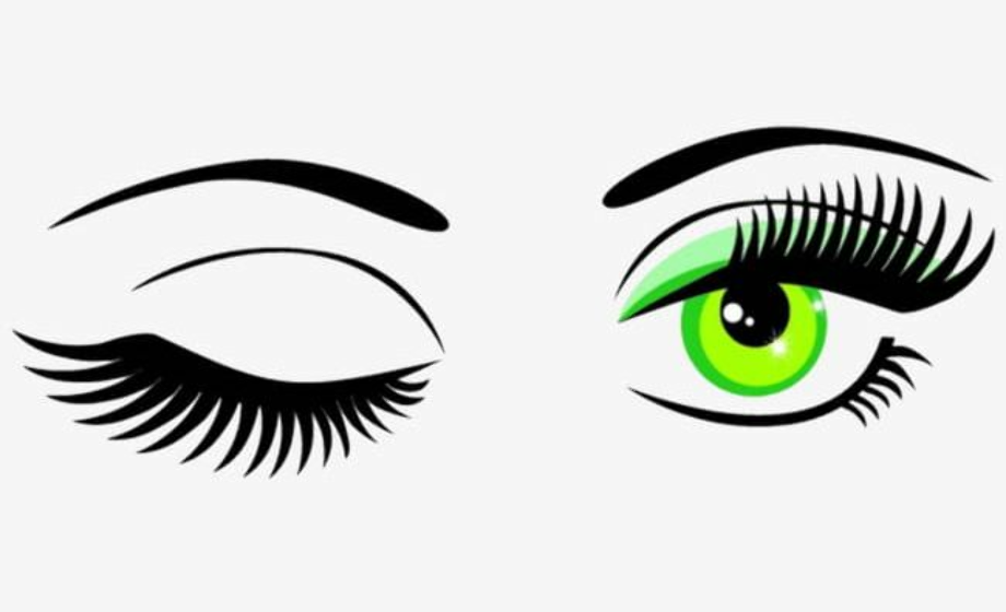 Download High Quality eyelashes clipart makeup Transparent
