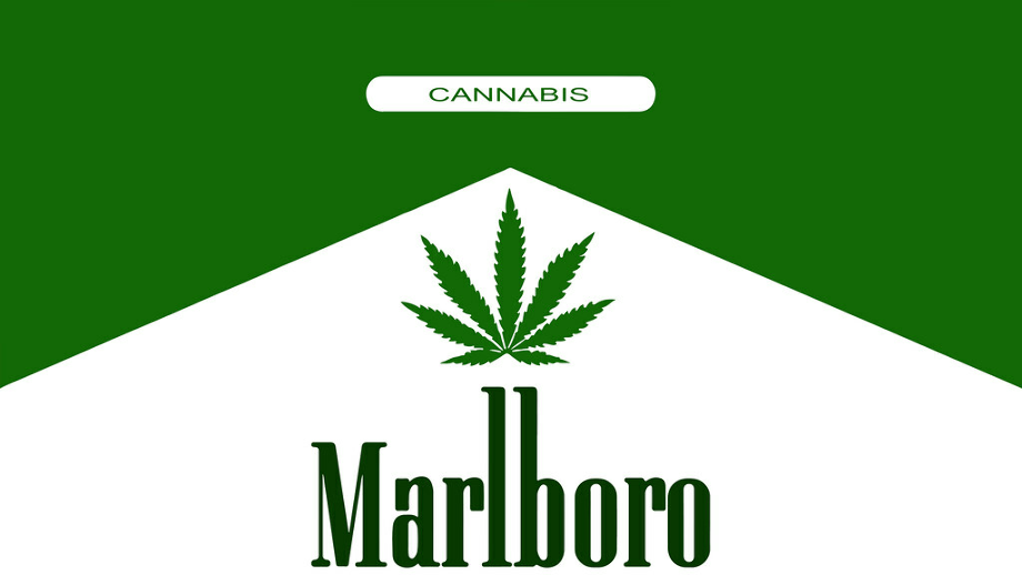 marlboro logo green