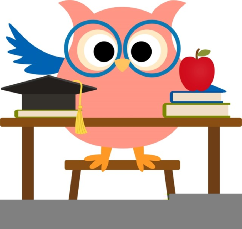 math clipart owl