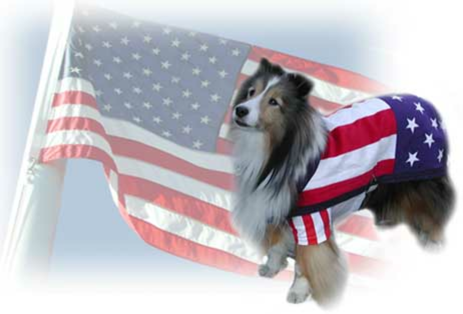 memorial day clipart dog