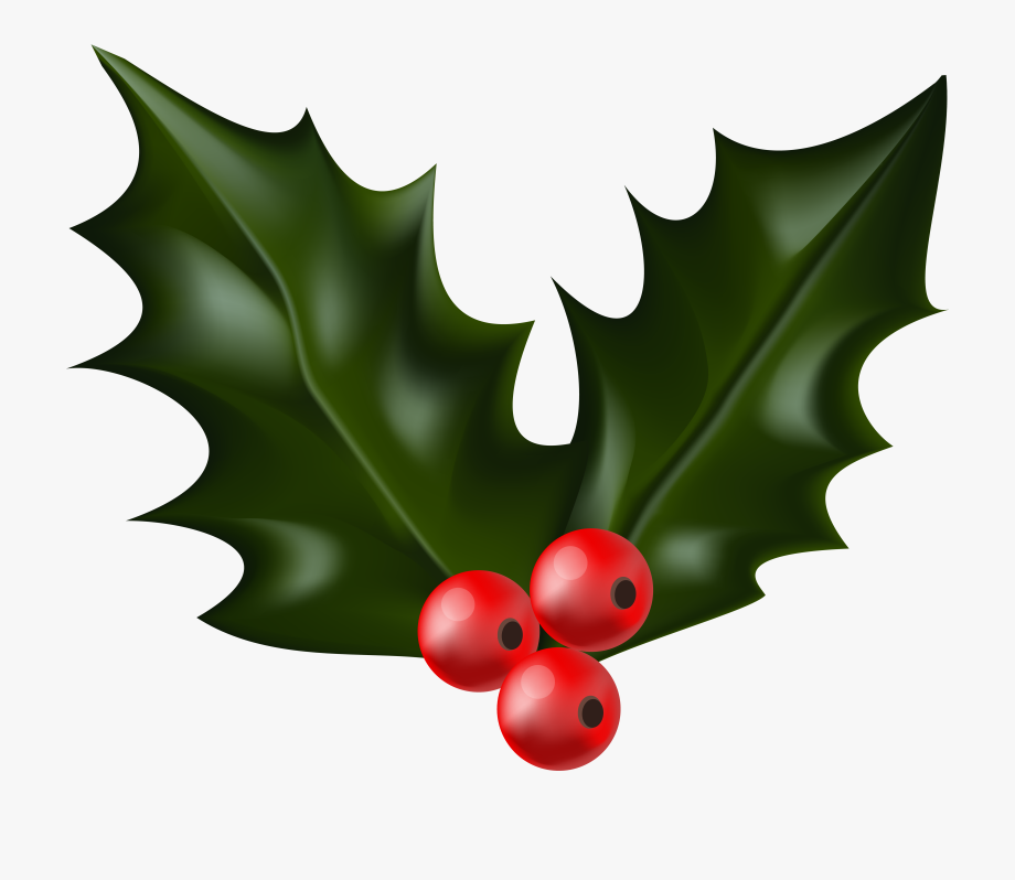Download High Quality mistletoe clipart holly Transparent PNG Images ...