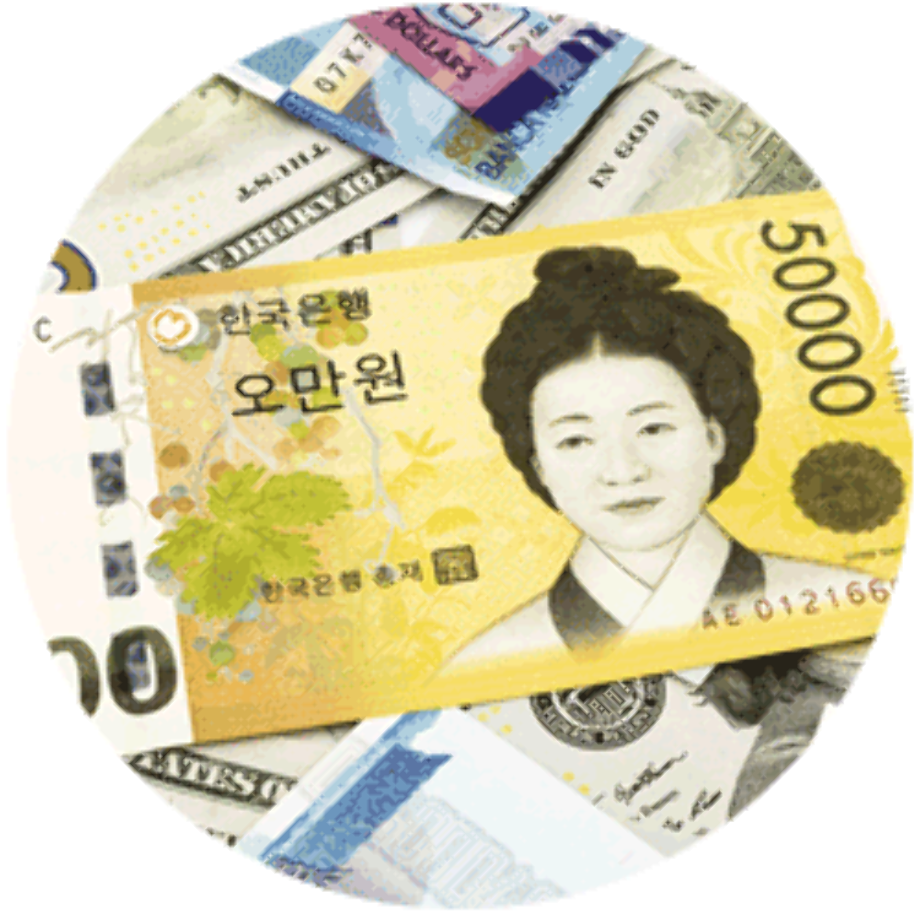 money transparent korean