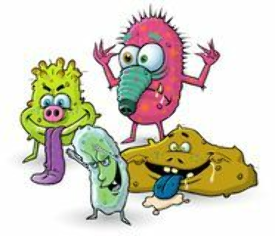 bacteria clipart virus