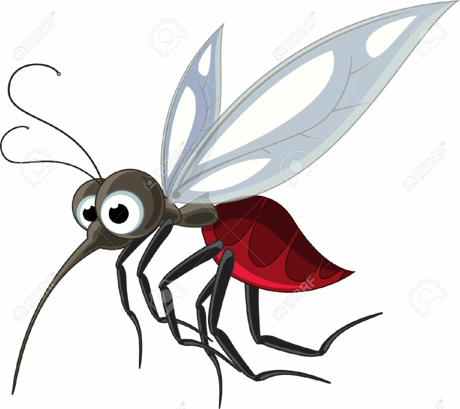 mosquito clipart female