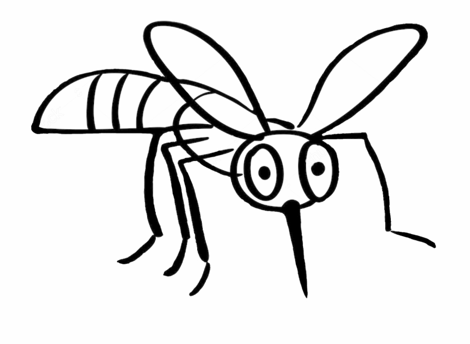 Download High Quality mosquito clipart outline Transparent PNG Images ...