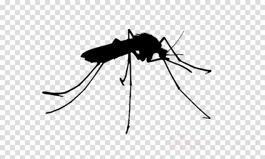 Download High Quality mosquito clipart silhouette Transparent PNG