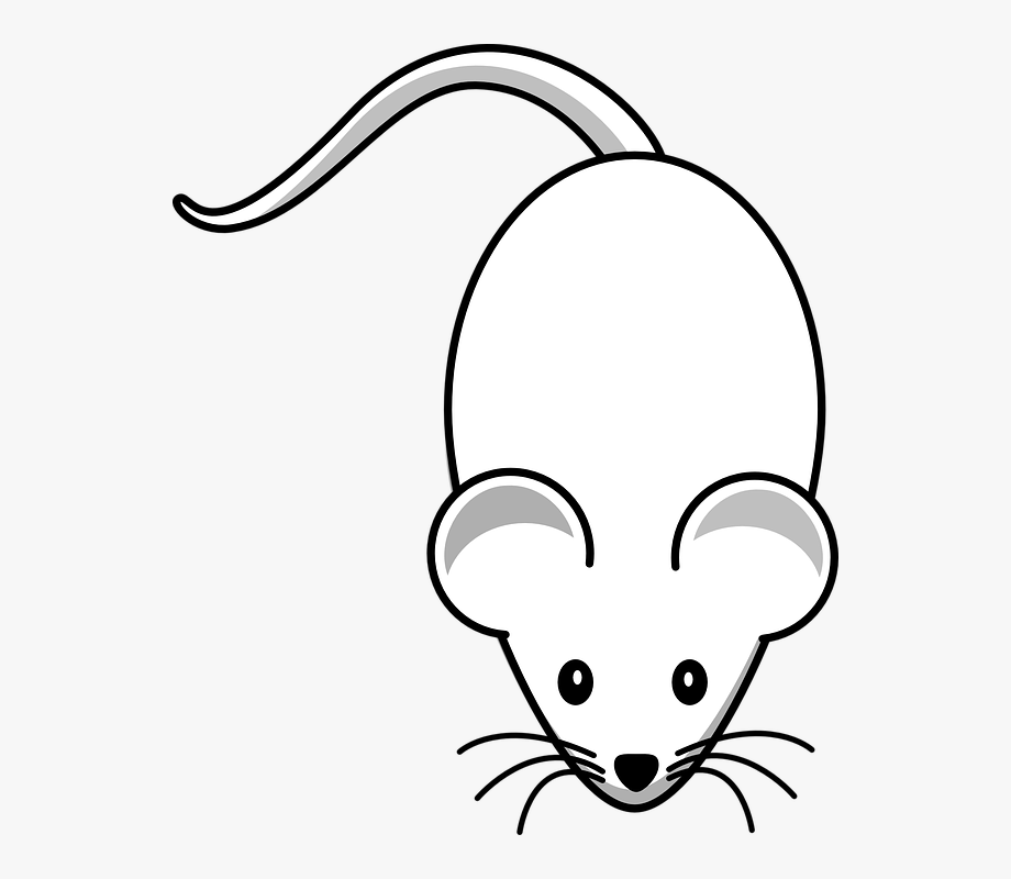 Download High Quality mouse clip art easy Transparent PNG Images - Art