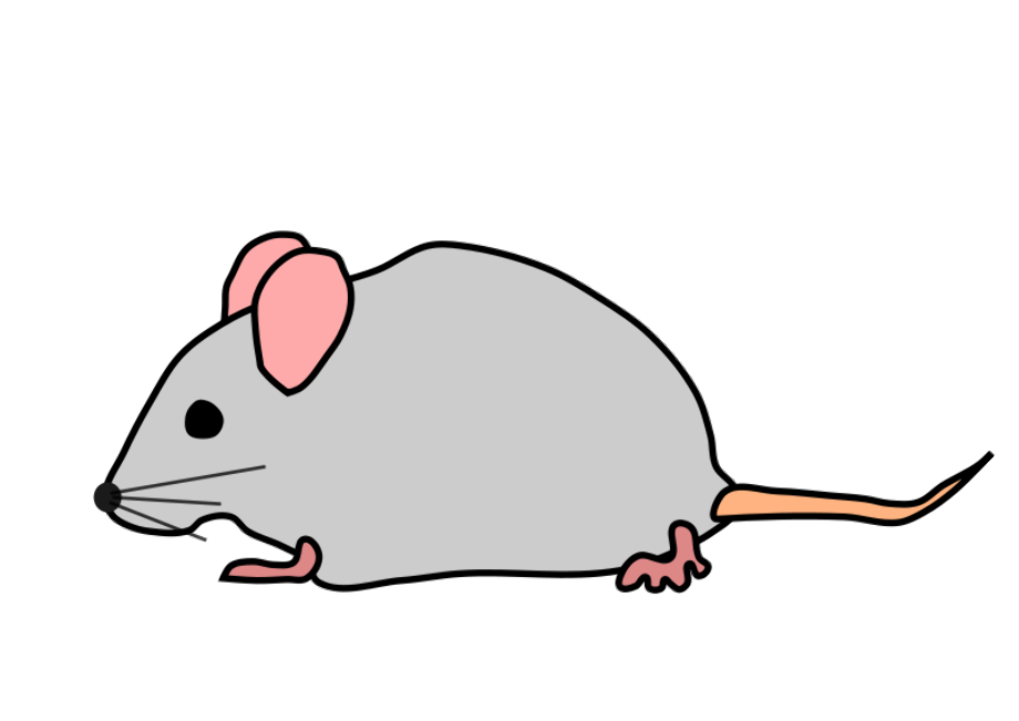 mouse clip art gray