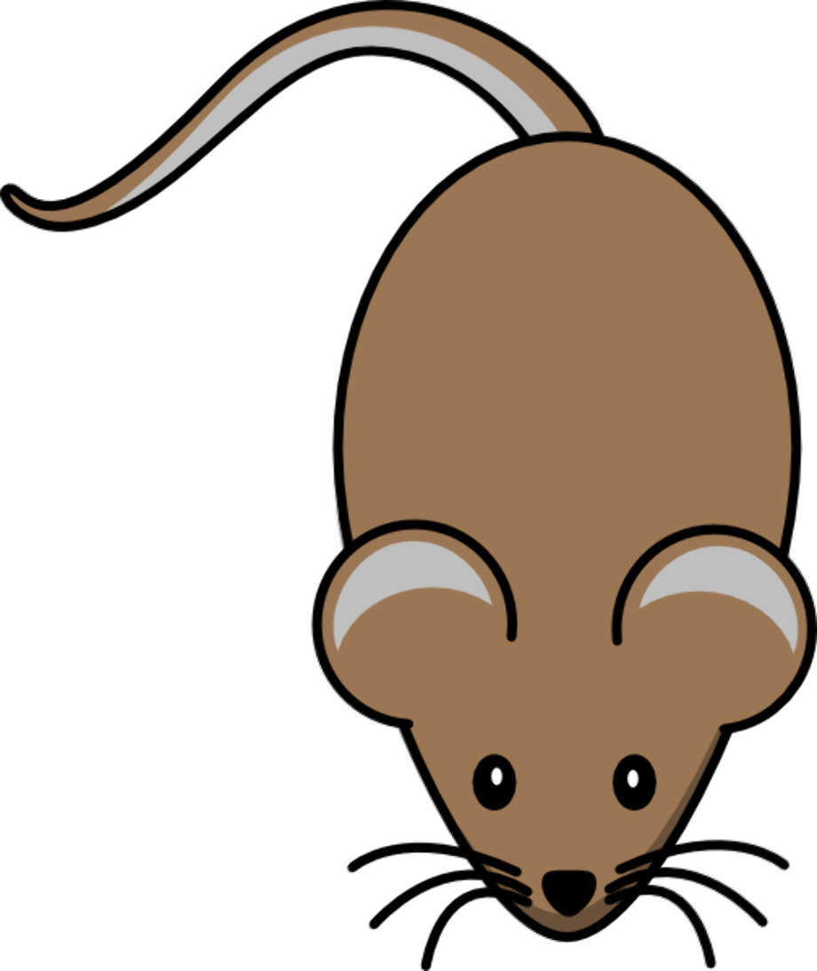 mouse clipart brown