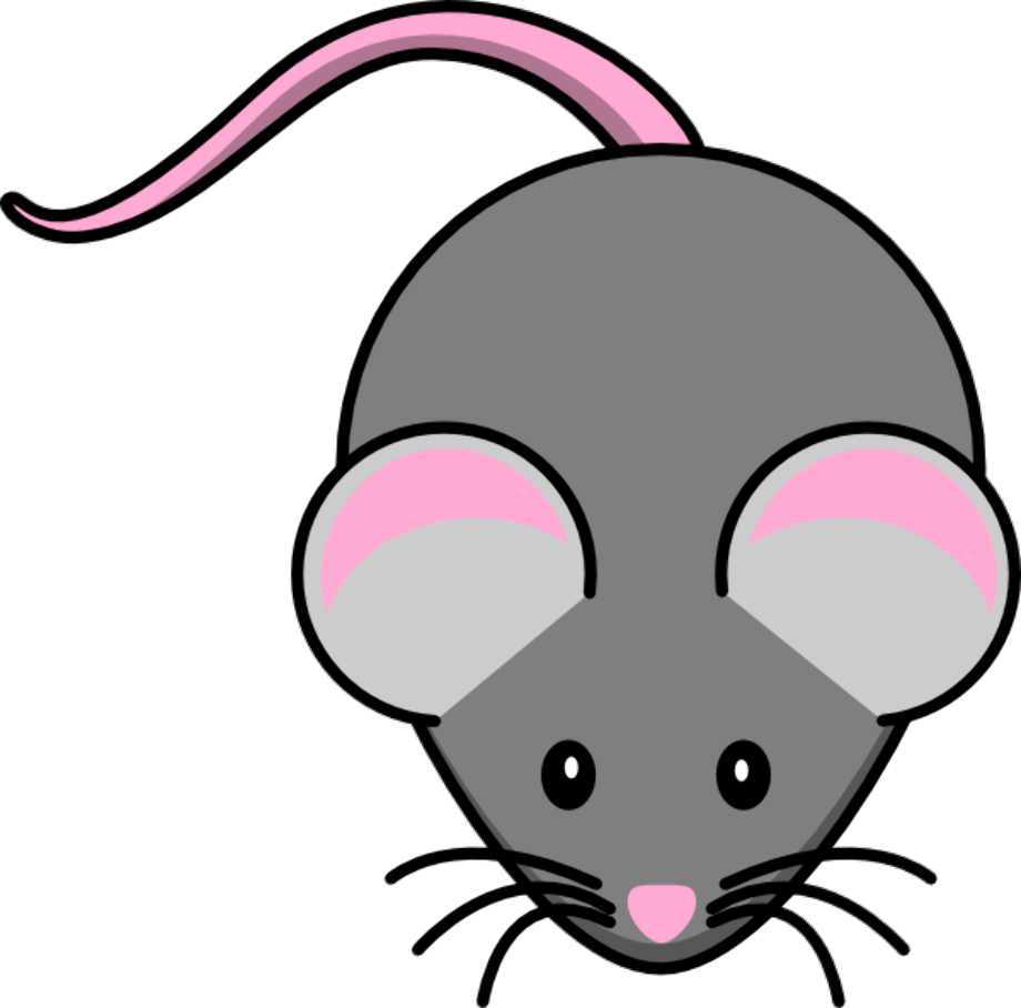 mouse clipart grey