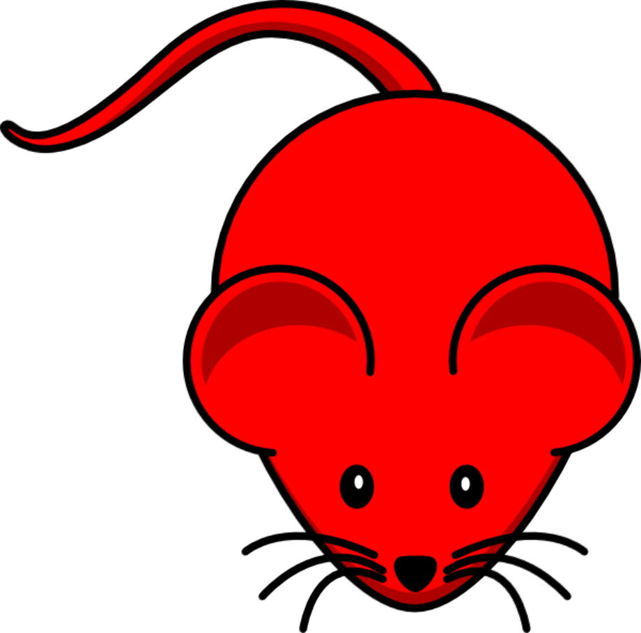 mouse clipart colorful