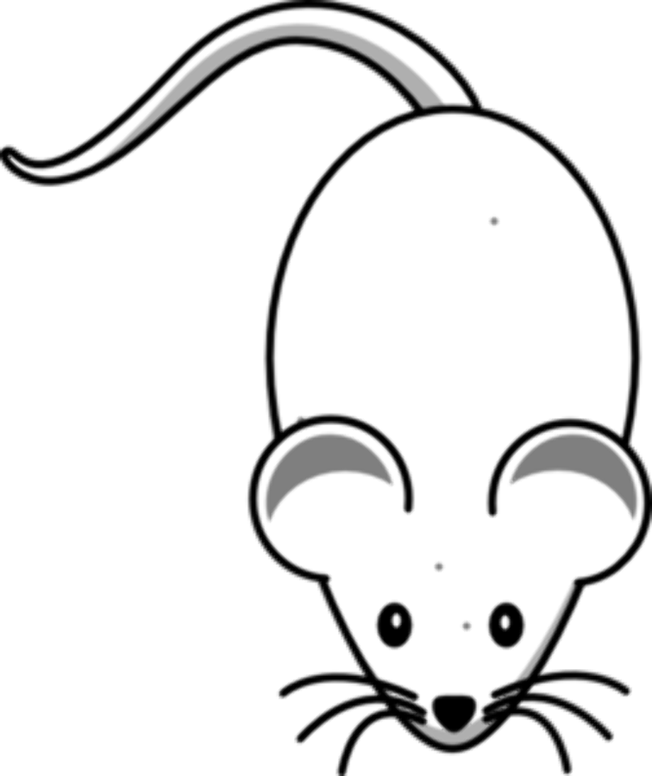 mouse clipart science