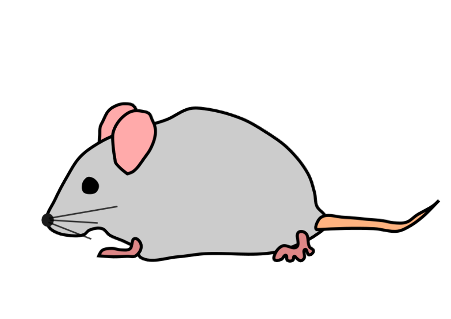 mouse clip art transparent