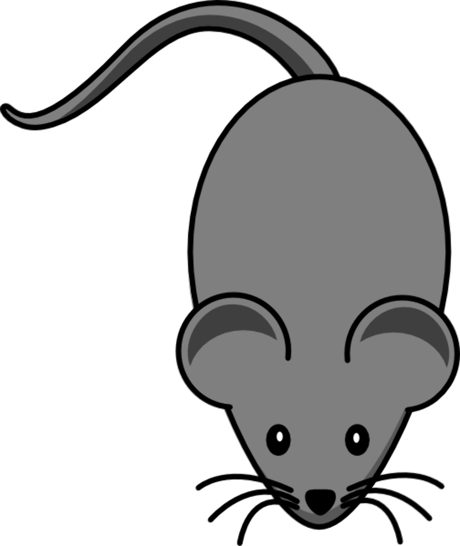 mouse clip art transparent background