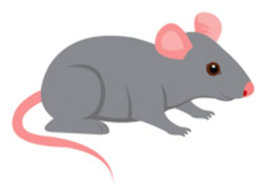 mouse clip art cartoon