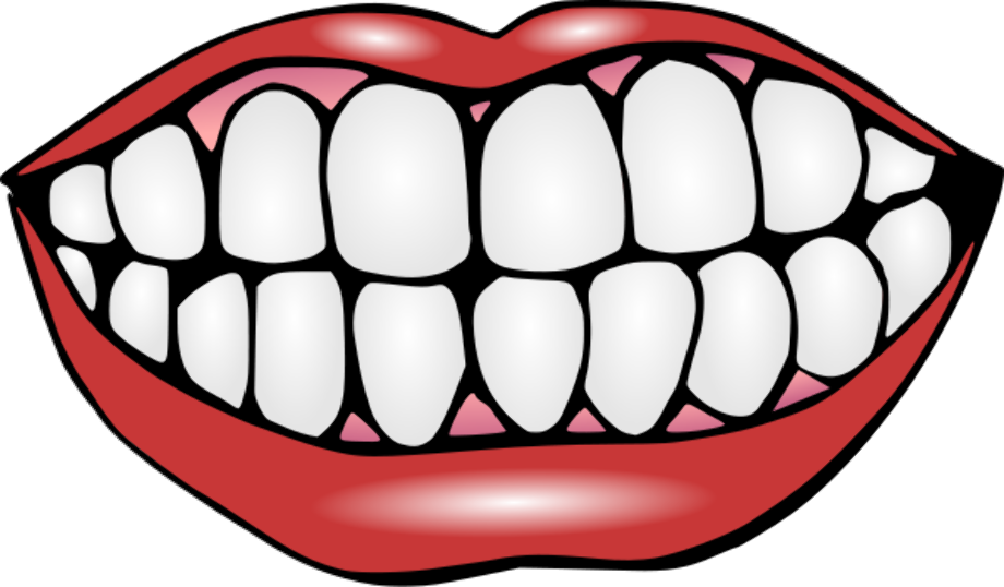 tooth clipart white