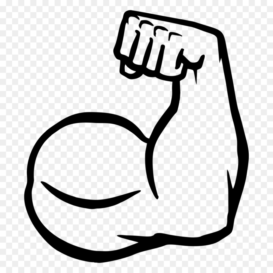 muscle clipart