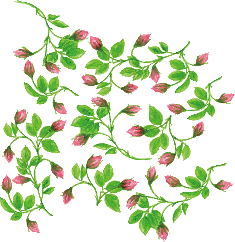 Nature clipart 123rf