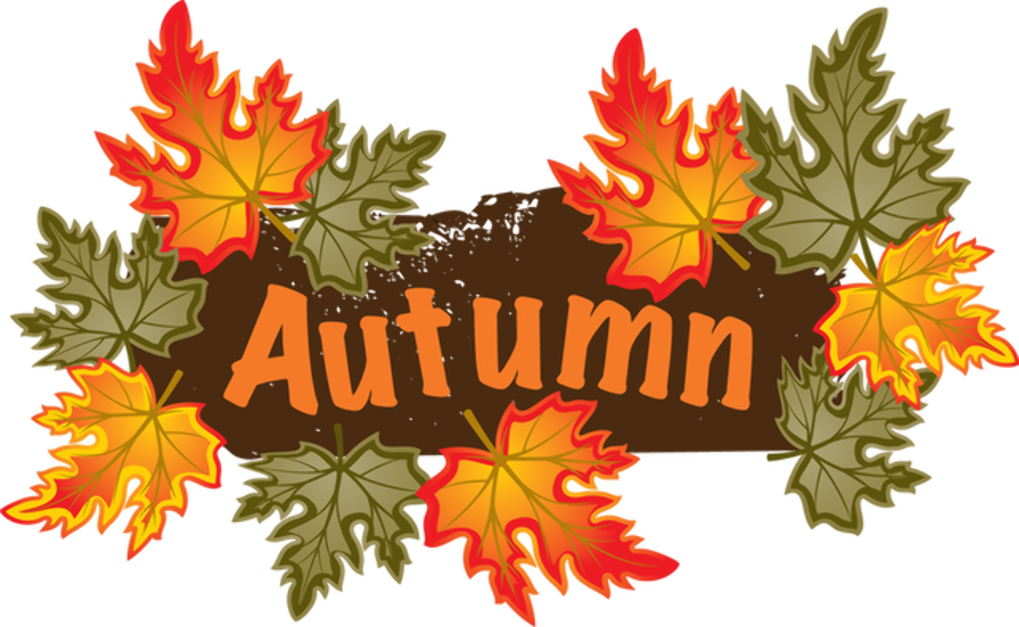 fall leaves clipart happy