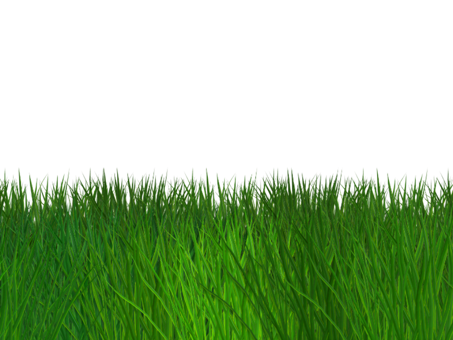 Download High Quality grass transparent seamless Transparent PNG Images