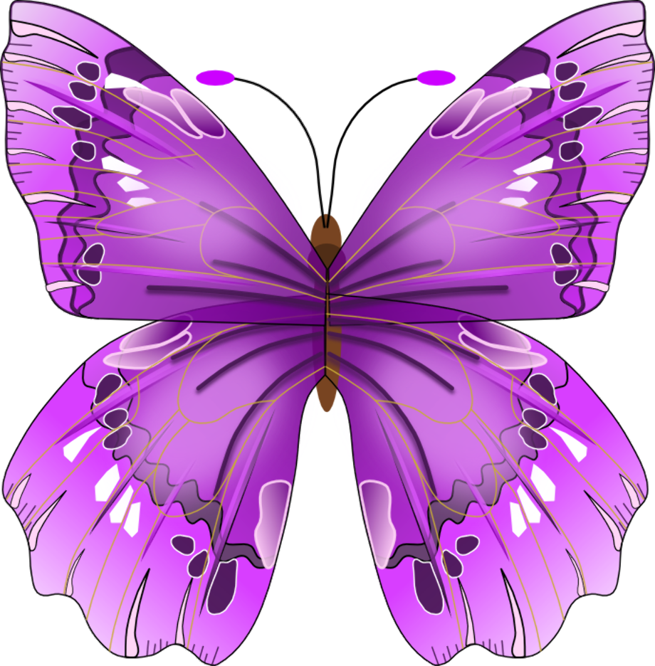 butterflies clipart purple