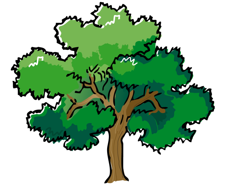 Tree clipart forest