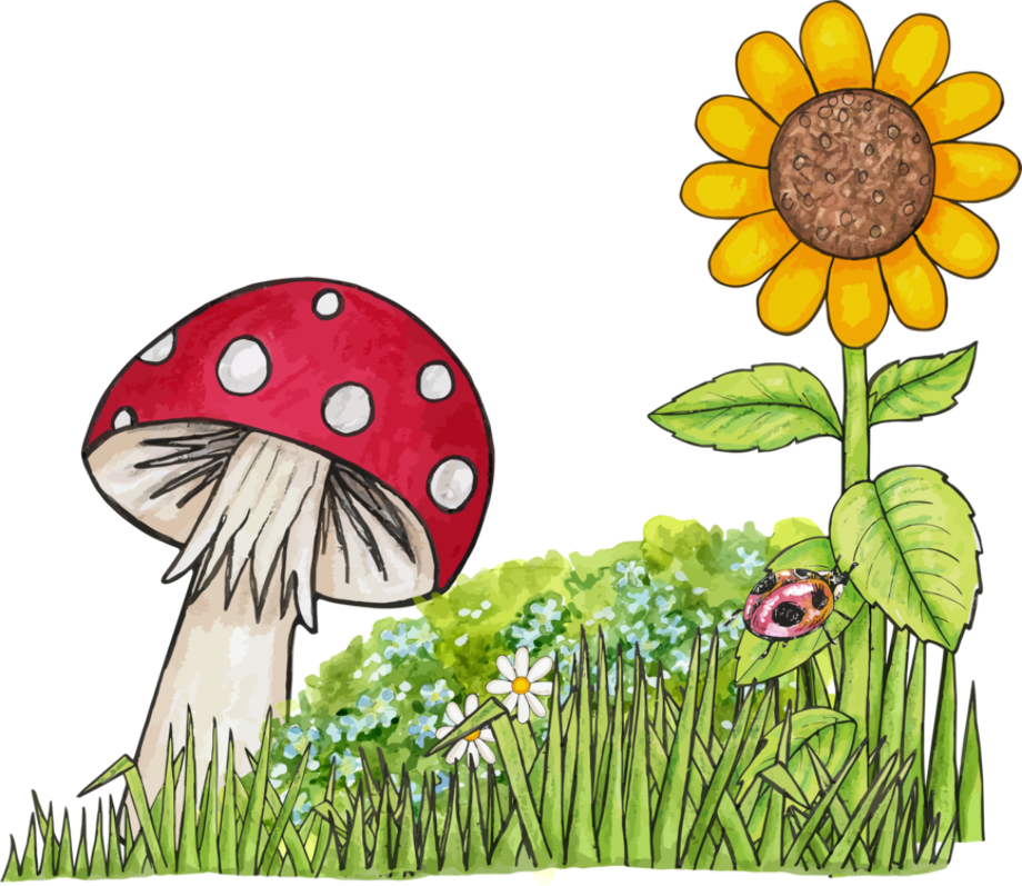 Nature clipart drawing