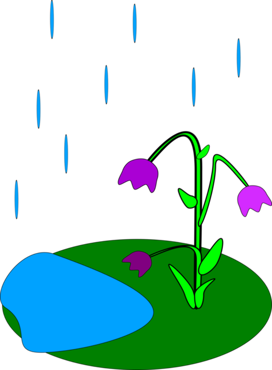 Nature clipart rain