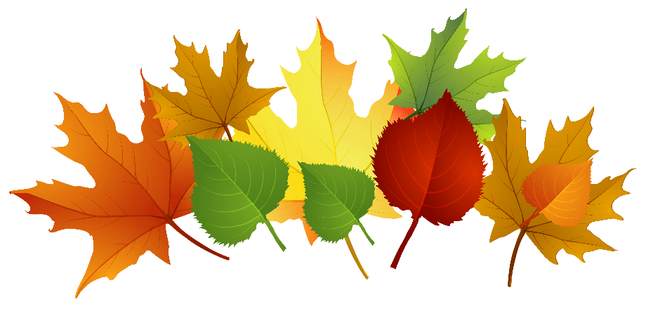 fall leaves clipart vector