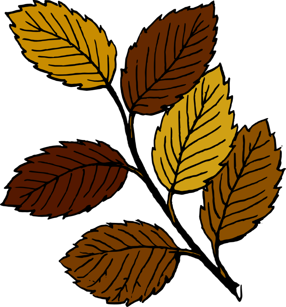 leaf clipart brown